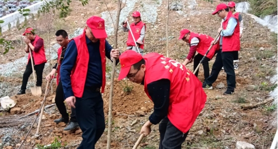 村企共建，共植先锋林